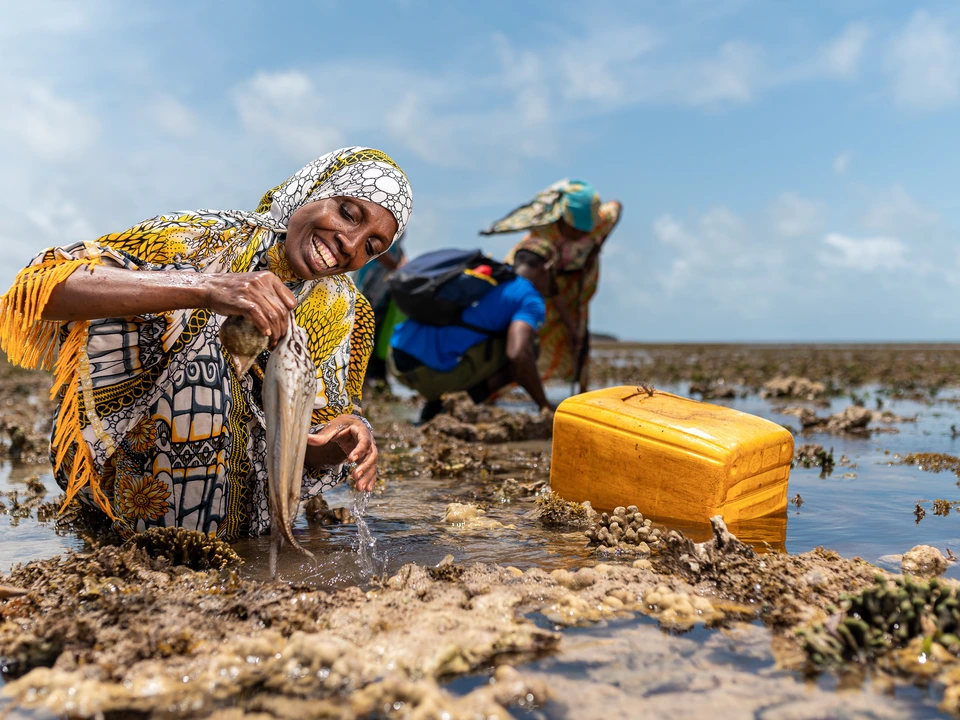 Fisherwoman crouching beside an octopus and a yellow container on a rocky shoreline