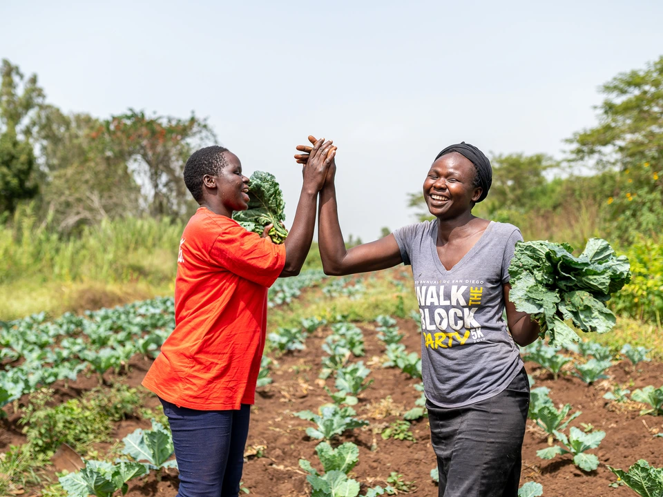 Two people celebrating together in a green vegetable field