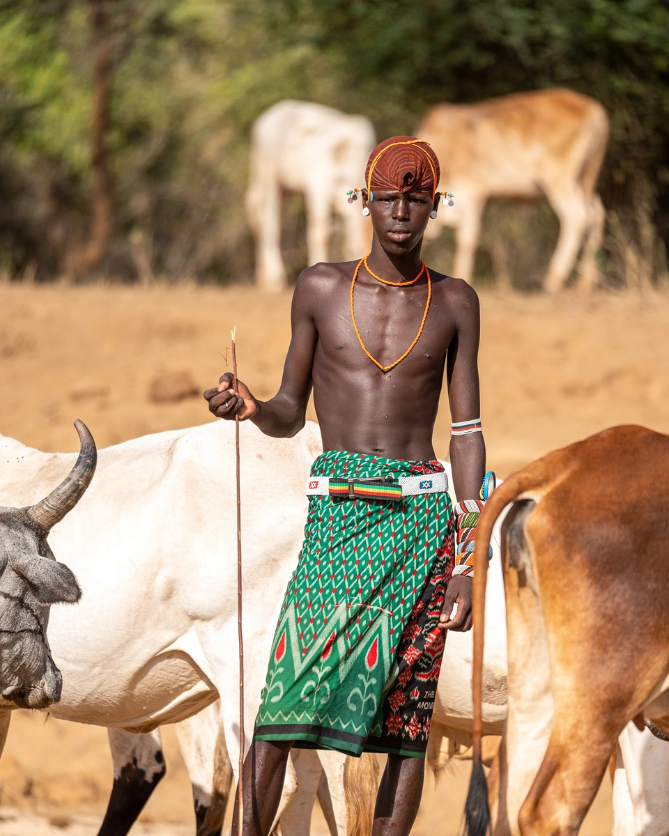 A herder standing among cattle in a dry landscape