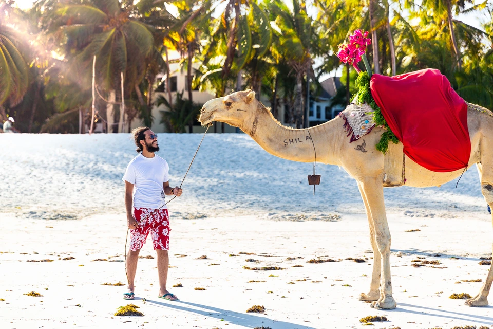 Camel and handler on a white sand beach