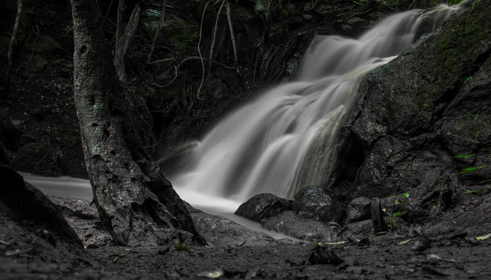 Black-and-white photograph of a waterfall in a wooded landscape