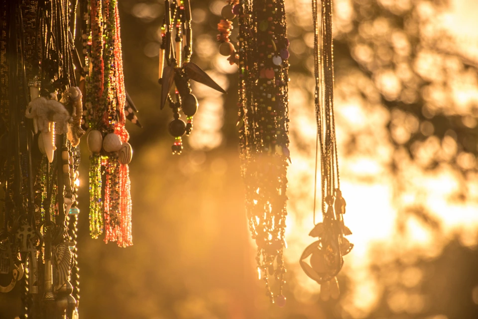 Warm sunlight filtering through hanging strands and small details