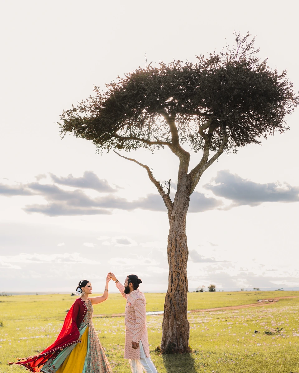 Wedding party walking beneath a tall acacia tree